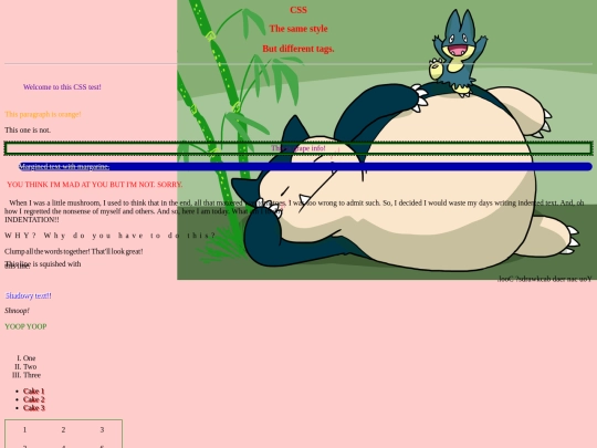 csstest screenshot