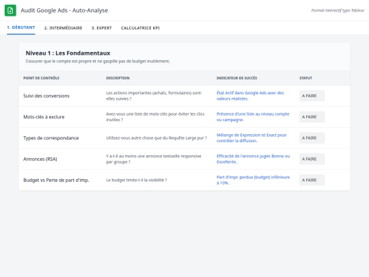 auditgoogleads screenshot