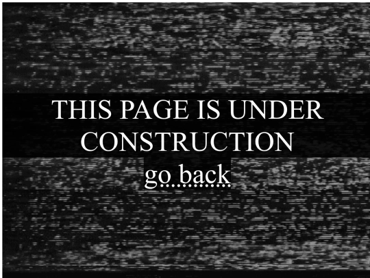 100webmaster screenshot
