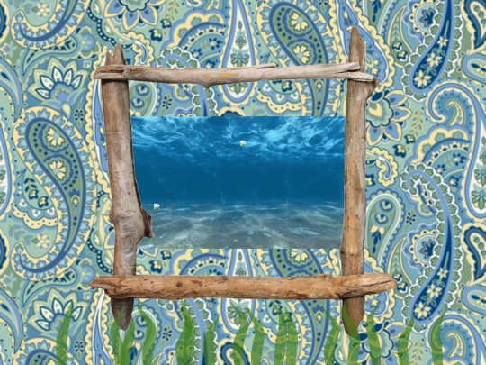 crabcastle screenshot