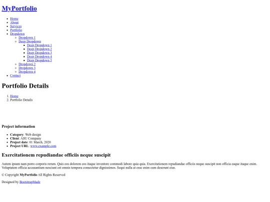 portfolio-details screenshot