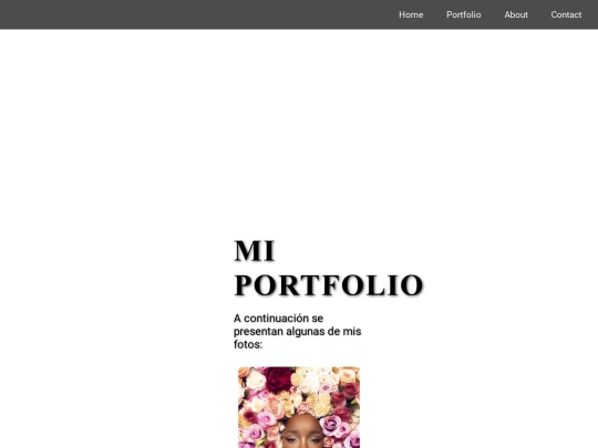 portfolio screenshot