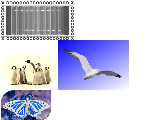 newimitation screenshot