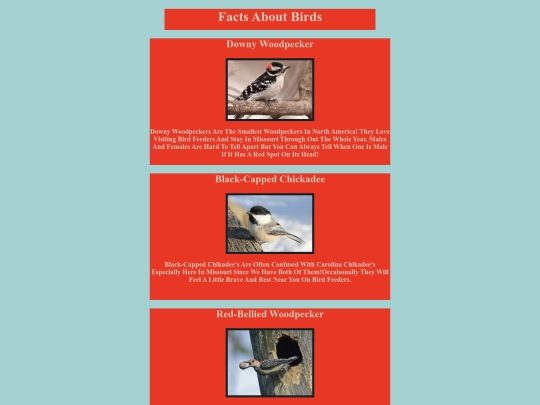 birds screenshot