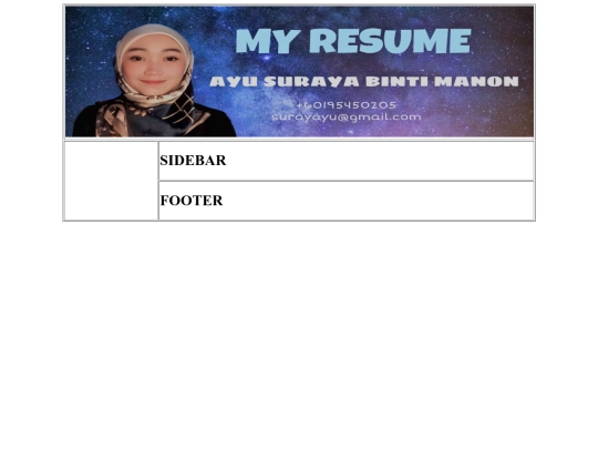 my resume screenshot