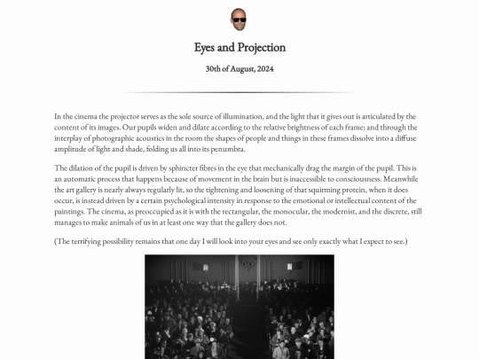 writingpieces/eyesandprojection screenshot