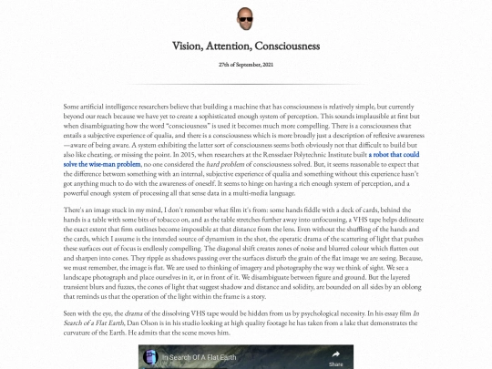 writingpieces/visionattentionconsciousness screenshot