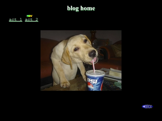 bloghome screenshot