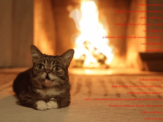fulfillment/fulfillment screenshot