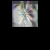 null avatar