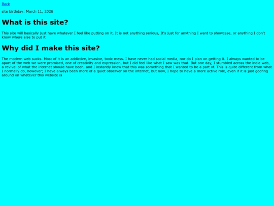 site screenshot