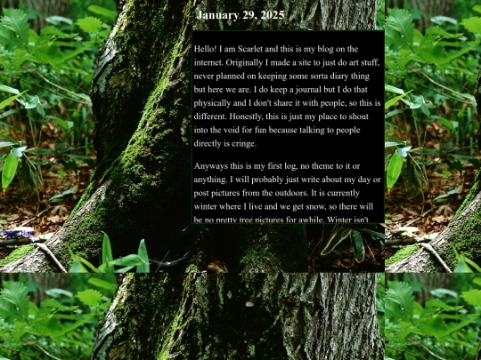 2025log/Jan292025 screenshot