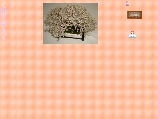 frame/indexc screenshot