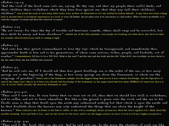 2ESDRAS screenshot