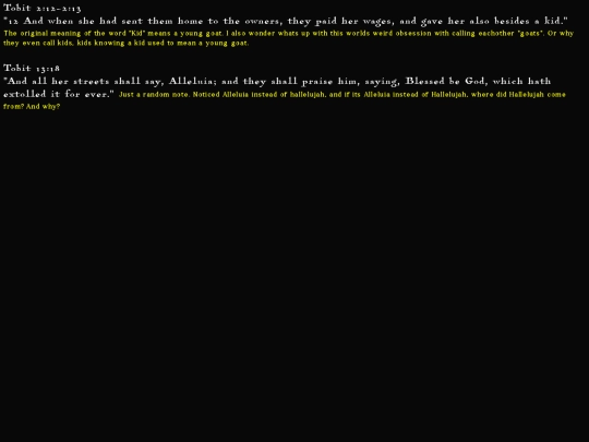 TOBIT screenshot