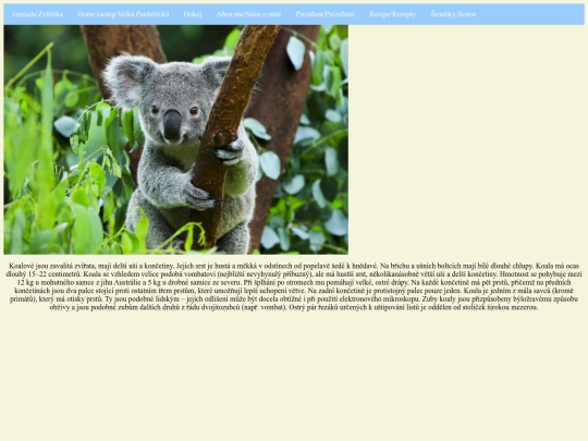 koala screenshot