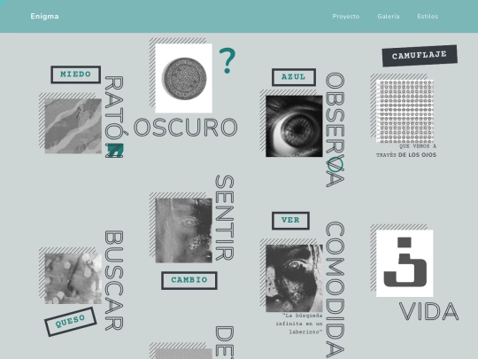 web-camuflaje/galeria screenshot