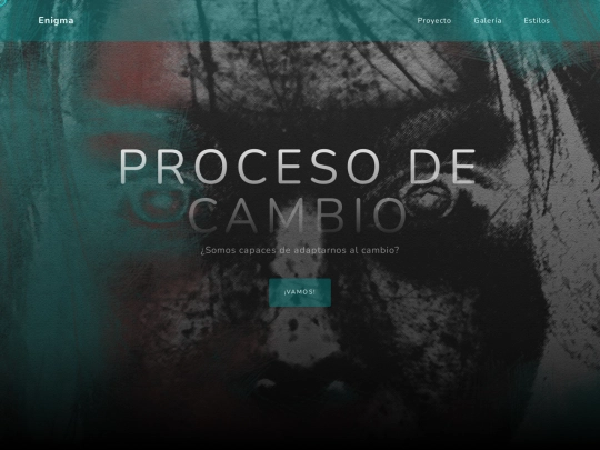 web-camuflaje screenshot