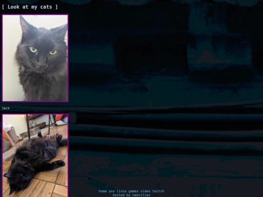 cats screenshot