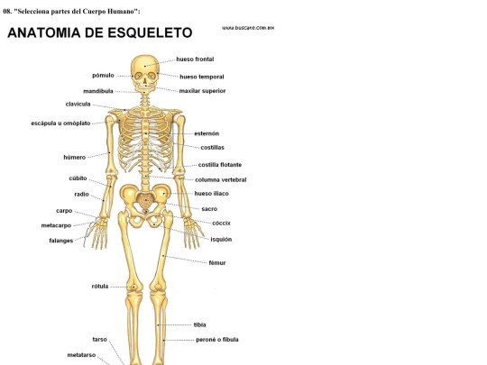 3_Leng_pag_web/examples/08_mapa_imagen screenshot