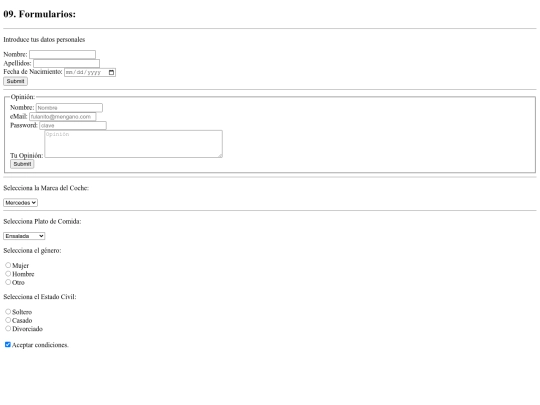 3_Leng_pag_web/examples/09_Formularios screenshot