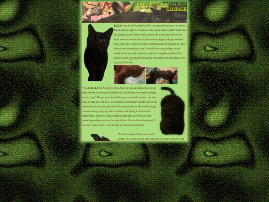 luna screenshot