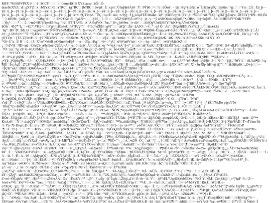 images/img-1 screenshot