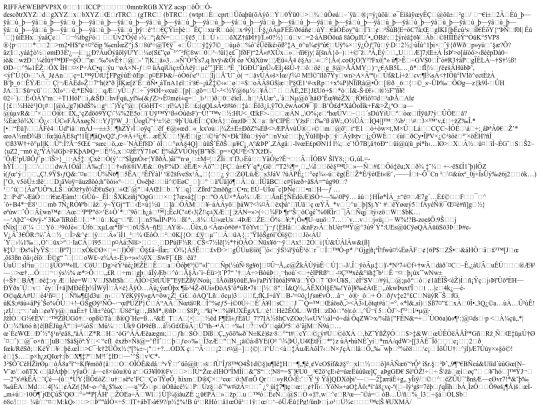 images/img-2 screenshot
