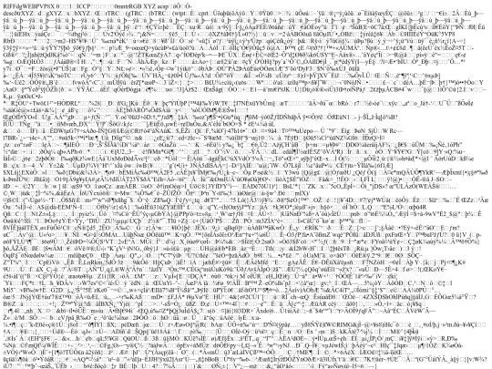 images/img-4 screenshot