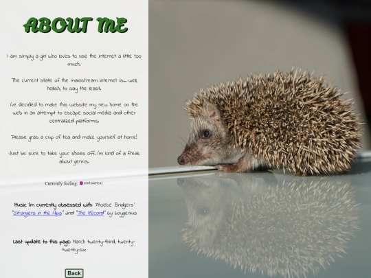 about_me screenshot
