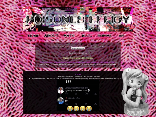 blog/microblog screenshot