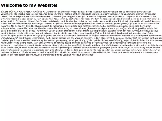 newfile screenshot