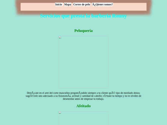 servicios screenshot