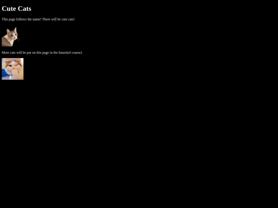 cats screenshot