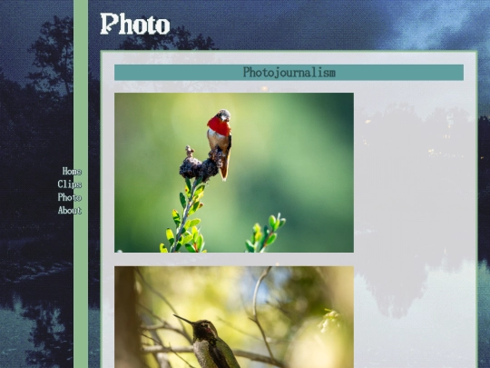 photo screenshot