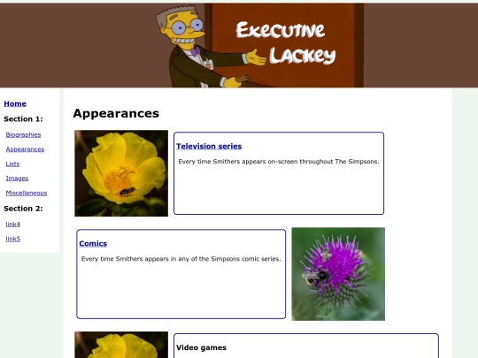 Appearances screenshot