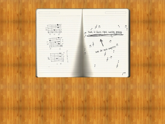 hospital/journal2 screenshot