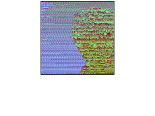 cyrillic/fish screenshot