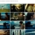 Reed Allen | Cinematographer & Photographer in Maine avatar