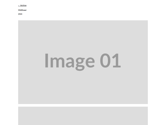 project-wildflower screenshot