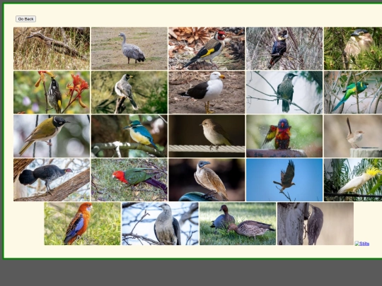 Extra_birds screenshot
