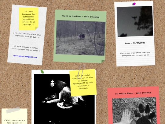 photoboard screenshot