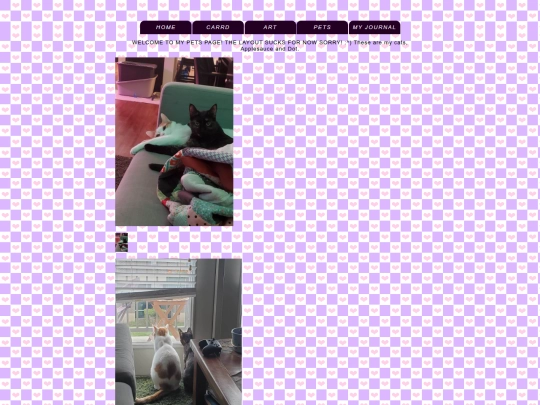 petspage screenshot