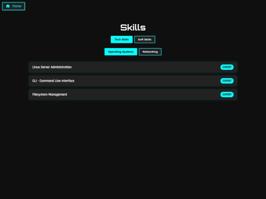 SIMPLE PORTFOLIO/skills screenshot