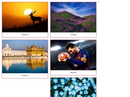 gallery screenshot