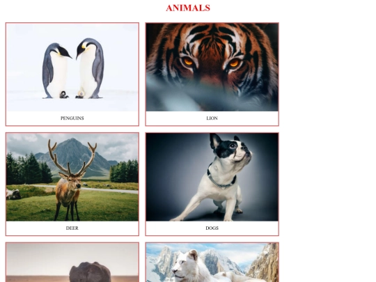 galleryanimal screenshot
