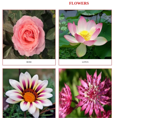 galleryflower screenshot