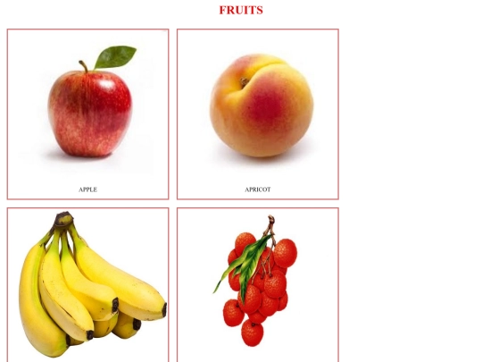 galleryfruit screenshot