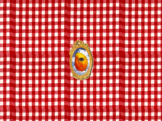 bigmango screenshot