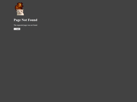 not_found screenshot